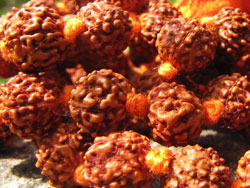 Rudrakasha Mala