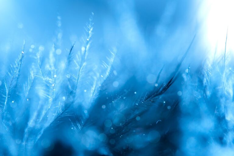 Breath & Awareness