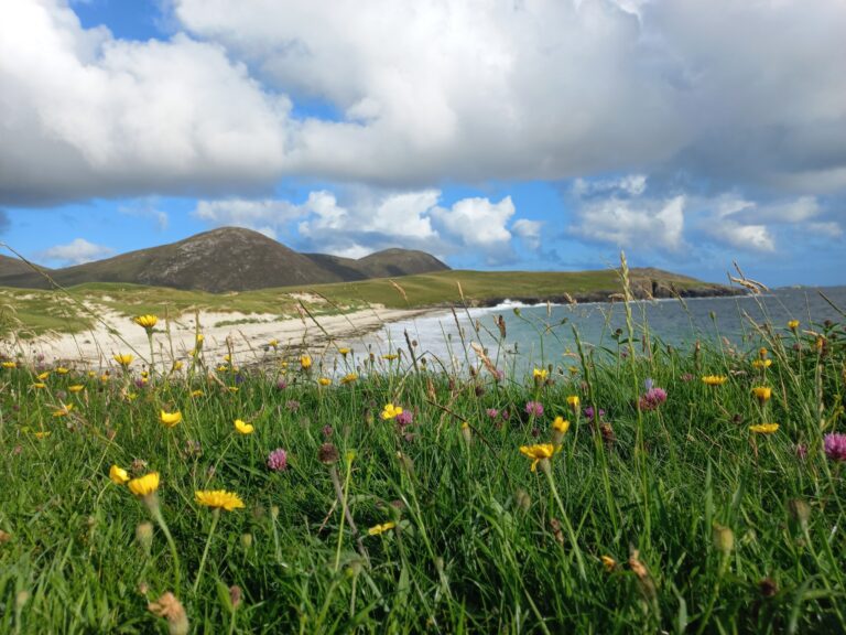 The beaches of Harris and the summer Machair flowers
