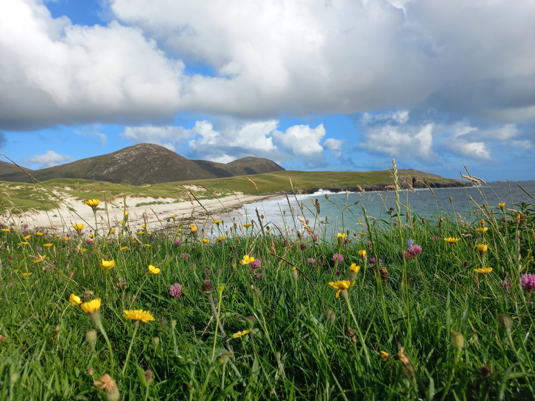 The beaches of Harris and the summer Machair flowers