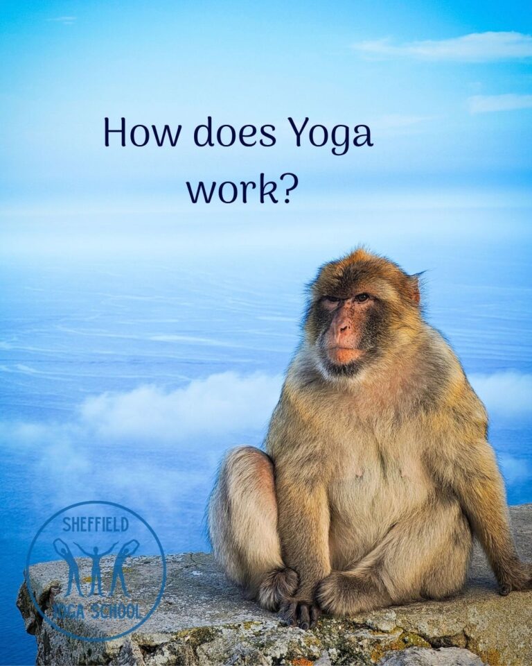 How does Yoga work?