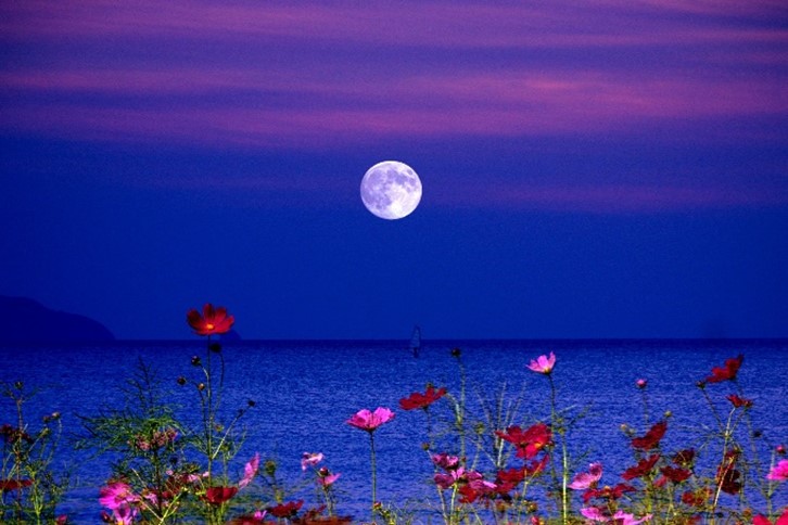 flower moon may gong bath