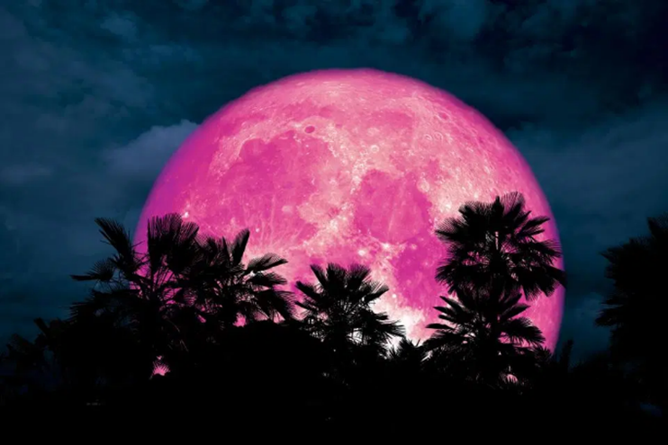 pink moon going bath march