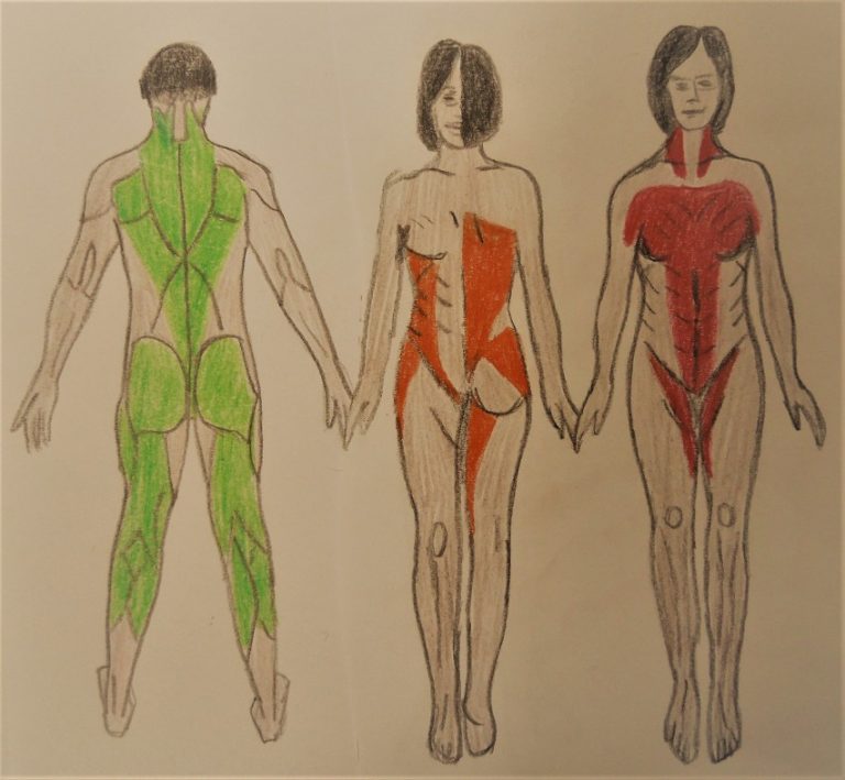 Essential Somatic Movement – October Workshops!