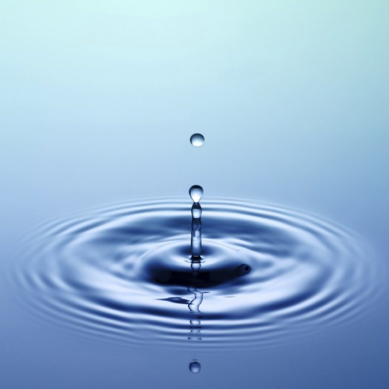 Yoga & Herbs : Nourishment through the Water Element