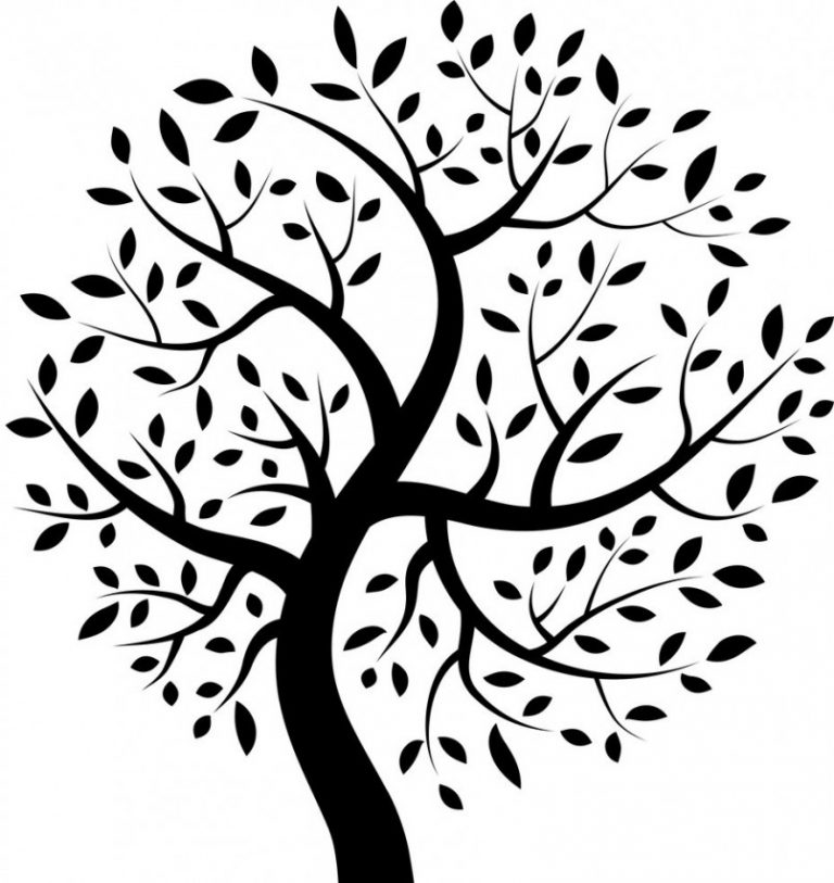 Teaching Yoga & the Body’s Intelligence